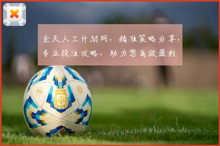 全天人工计划网，精准策略分享，专业投注攻略，助力您高效盈利