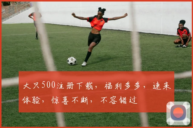 大只500注册下载，福利多多，速来体验，惊喜不断，不容错过