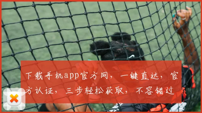 下载手机app官方网，一键直达，官方认证，三步轻松获取，不容错过