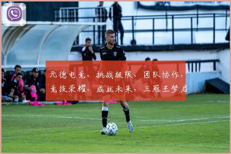 元德电竞，挑战极限，团队协作，竞技荣耀，成就未来，三冠王梦启航