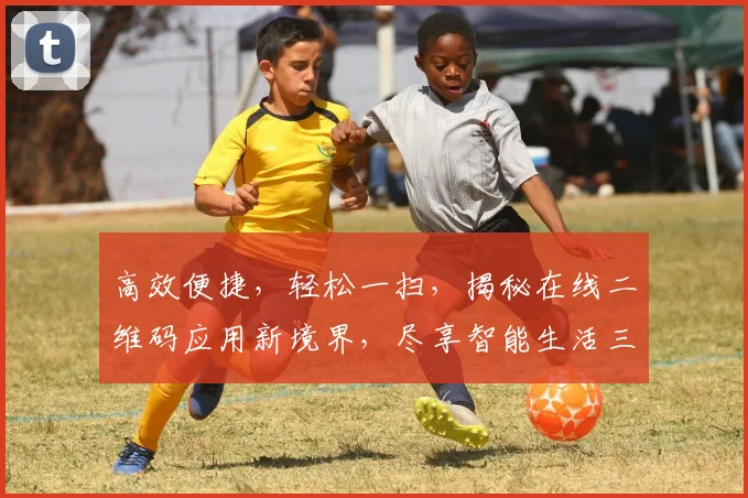 高效便捷，轻松一扫，揭秘在线二维码应用新境界，尽享智能生活三步曲，惊喜不断，不容错过